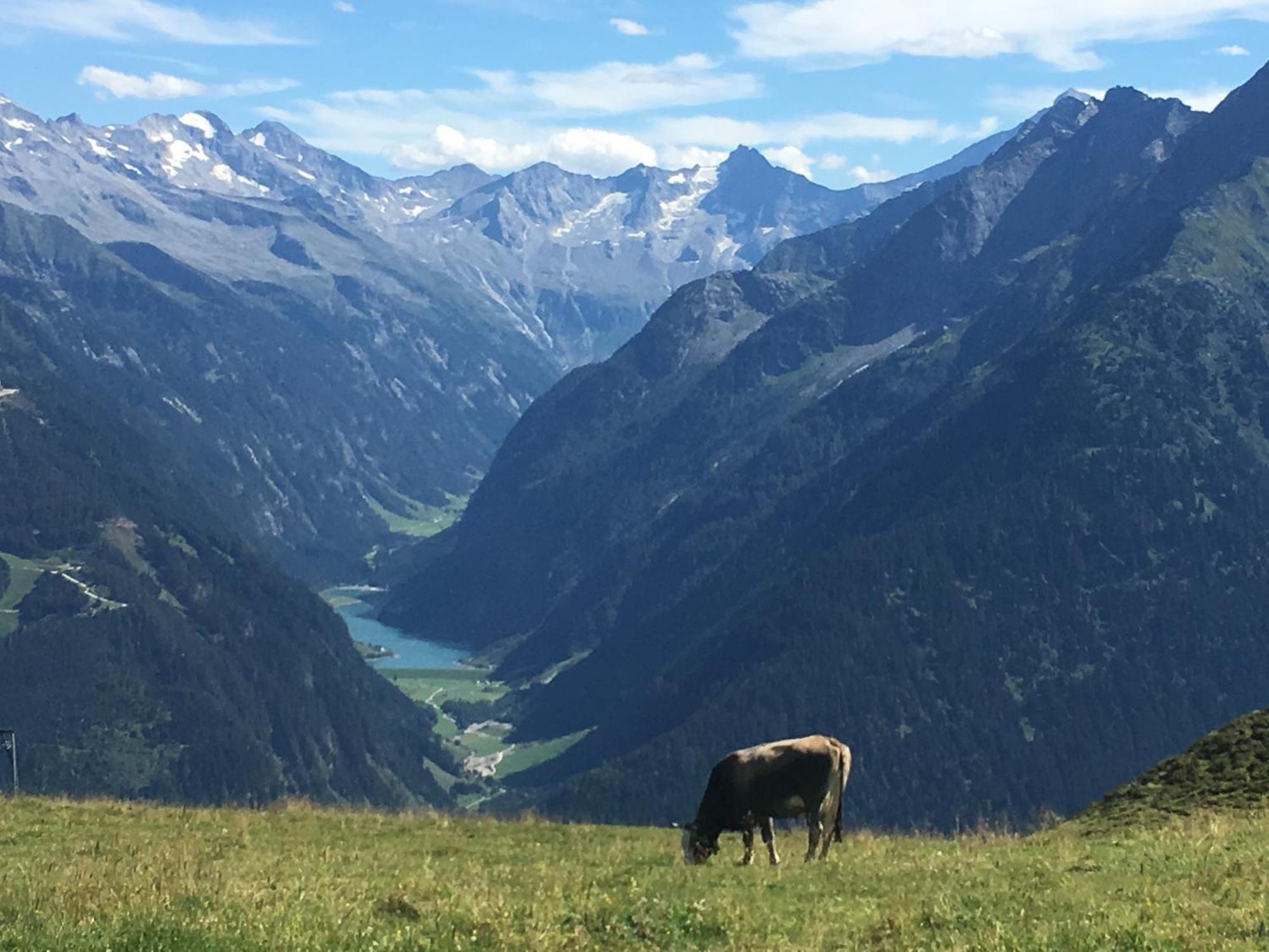 Landhaus Katharina Bis 12 Personen Mit Saunachalet Und Blick Auf Die Bergwelt Des Zillertals Hippach Luaran gambar